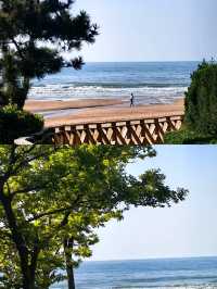 青島旅遊住宿攻略精選 閉眼入無腦衝