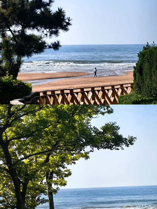 青島旅遊住宿攻略精選 閉眼入無腦衝