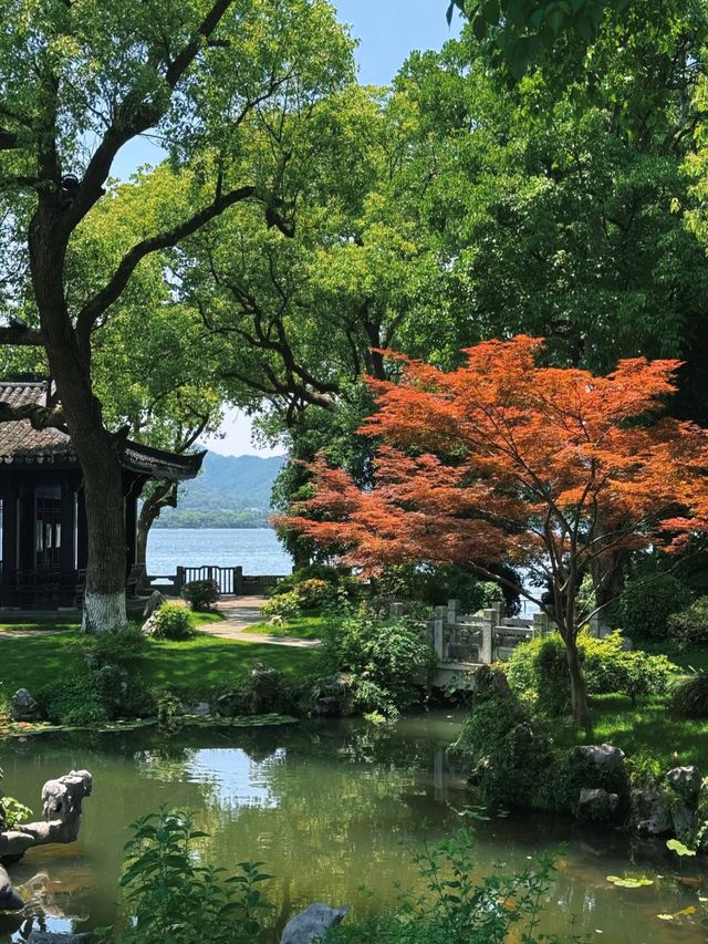 杭州西湖柳鶯里酒店真實入住體驗
