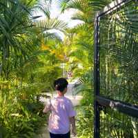 梅窩｜香港呢個避世小島🏝️可以玩足一日