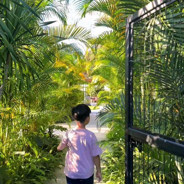 梅窩｜香港呢個避世小島🏝️可以玩足一日