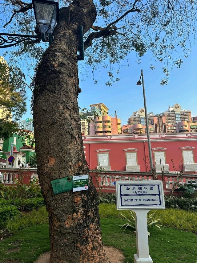 香港出發至澳門加思欄花園交通攻略 