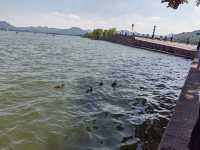 西湖