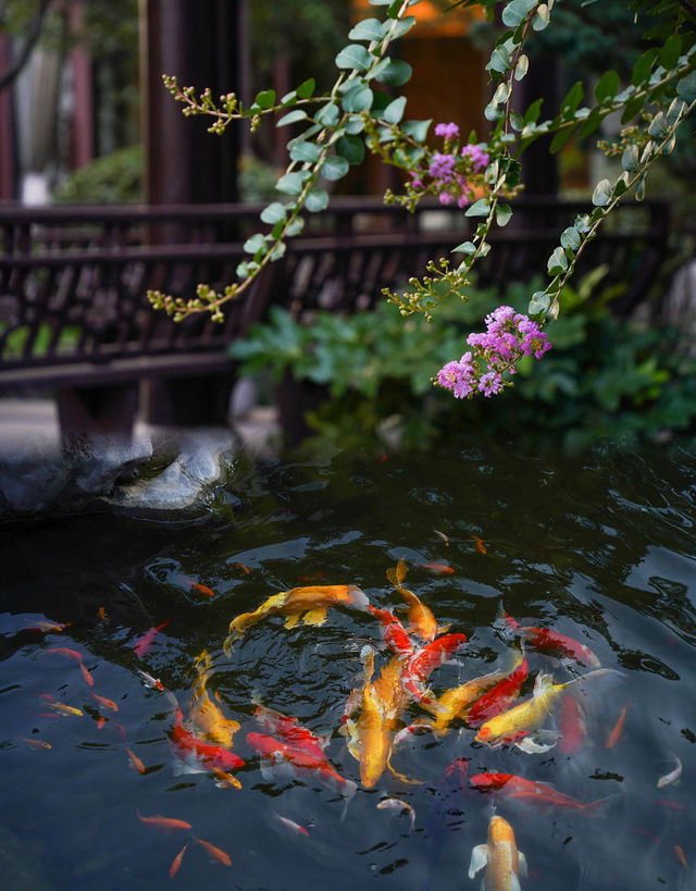 揚州，比大運河博物館更值得去嘅博物館…
