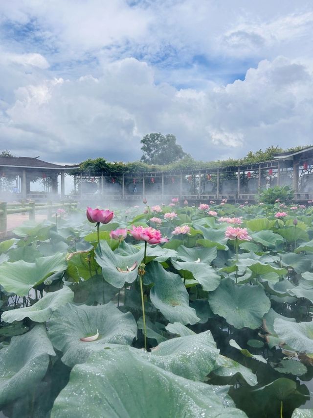 廣州番禺蓮花山，避暑勝地！！