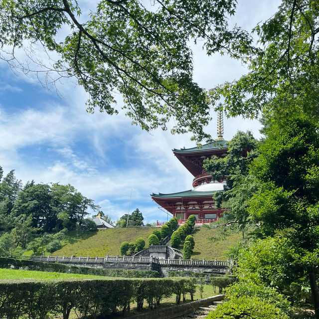 🛫 成田機場前1站！90%人錯過的3小時神級行程