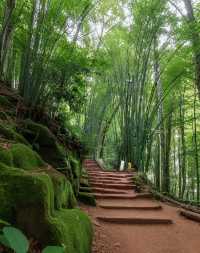 竹林秘境中嘅禪意中岩寺，被央視點名！青神竹藝仙境