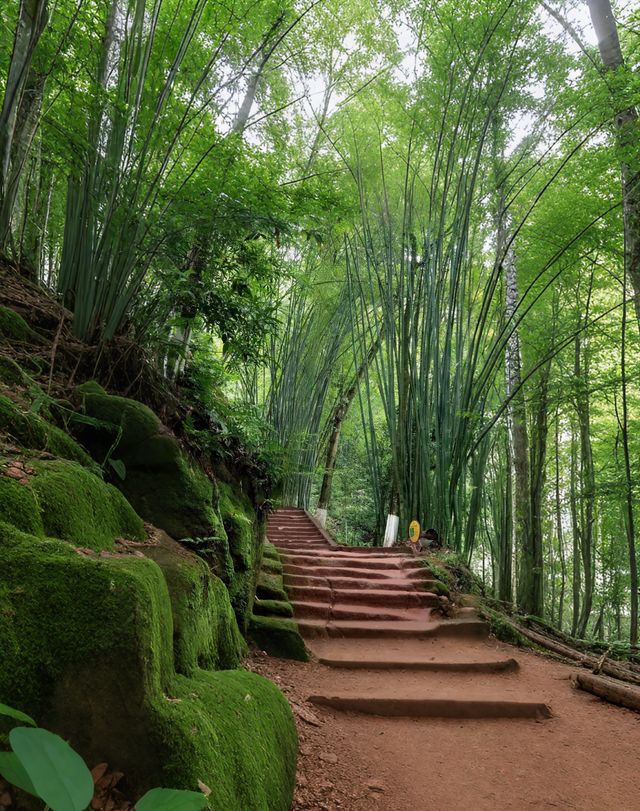 竹林秘境中嘅禪意中岩寺，被央視點名！青神竹藝仙境