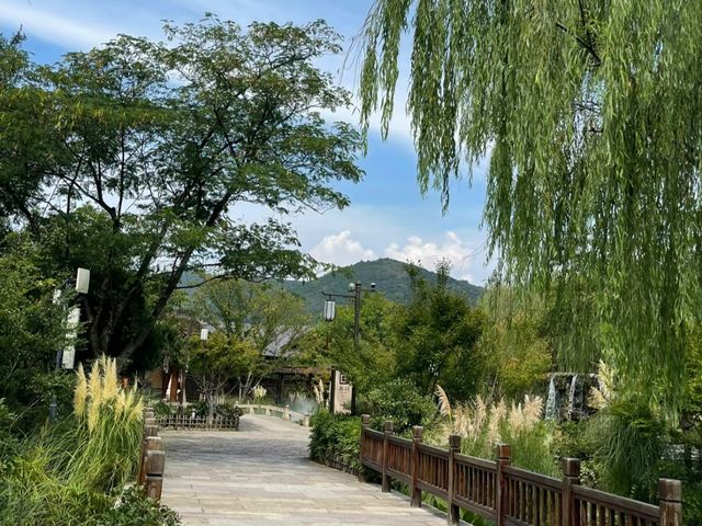 去咗4次禪意小鎮·拈花灣，終於玩到明！