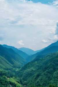 武夷山治癒指南