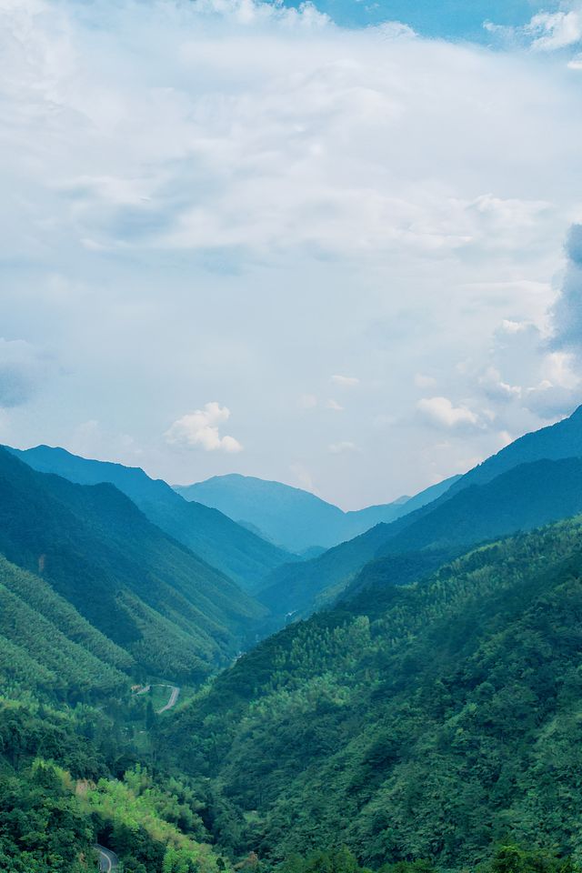 武夷山治癒指南