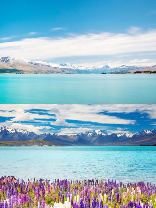Summer Vacation in New Zealand: 14-Day In-Depth Travel Guide