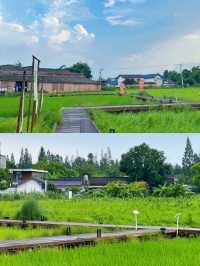 成都1小時直達稻田裡的東南亞避暑天堂