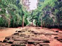 TA NEI Temple: Angkor’s Wild Soul