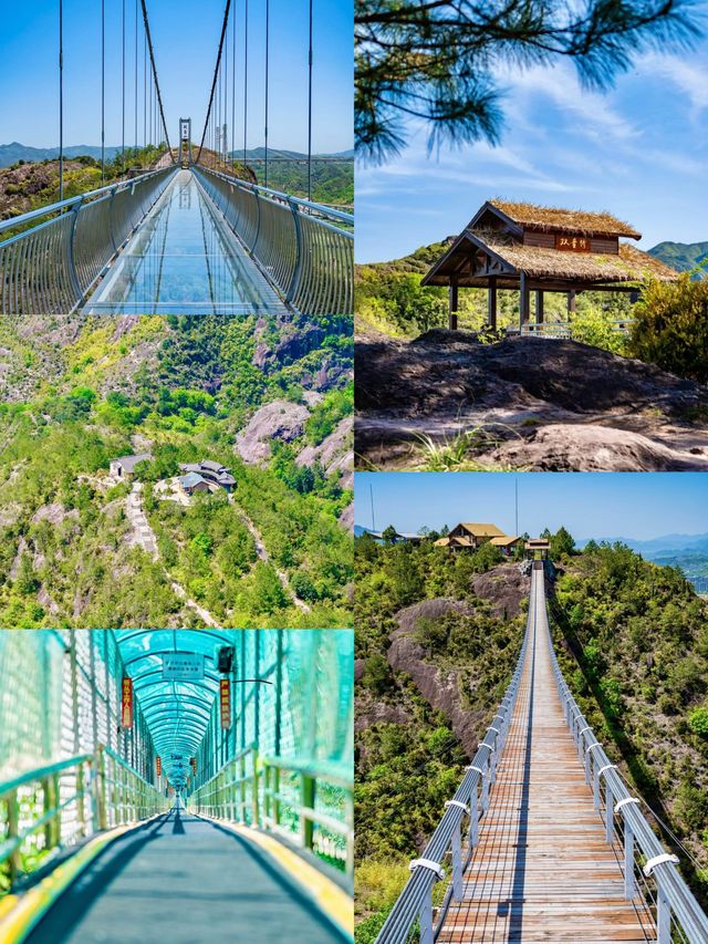 探索「浙南天空之城」！松陽雙童山景區全攻略（附隱藏玩法）