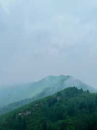 蘆芽山徒步筆記：在忻州的綠野仙蹤裡，我找到了北方最靈動的夏天