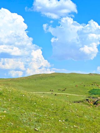 Don't just focus on the scenic spots! Discover the hidden gems of Duolun