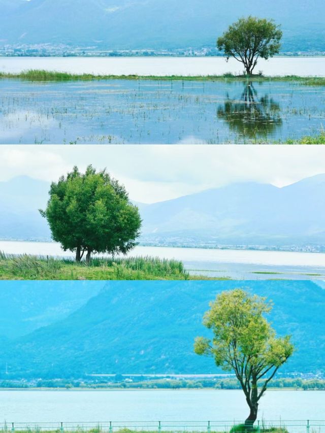 雲南超讚自然風景線