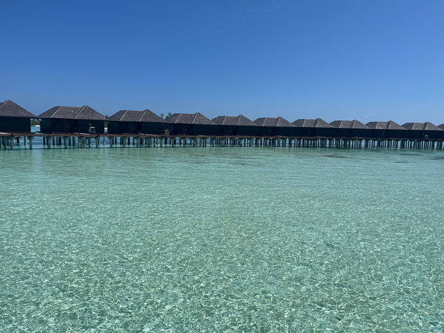 Honeymoon Bliss at Sun Siyam