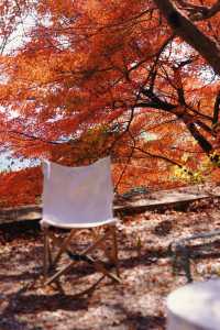 莫干山蔓庭花園別墅｜楓葉編織的秋日夢幻