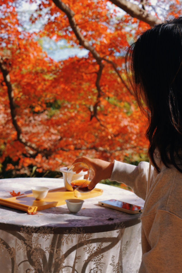 莫干山蔓庭花園別墅｜楓葉編織的秋日夢幻