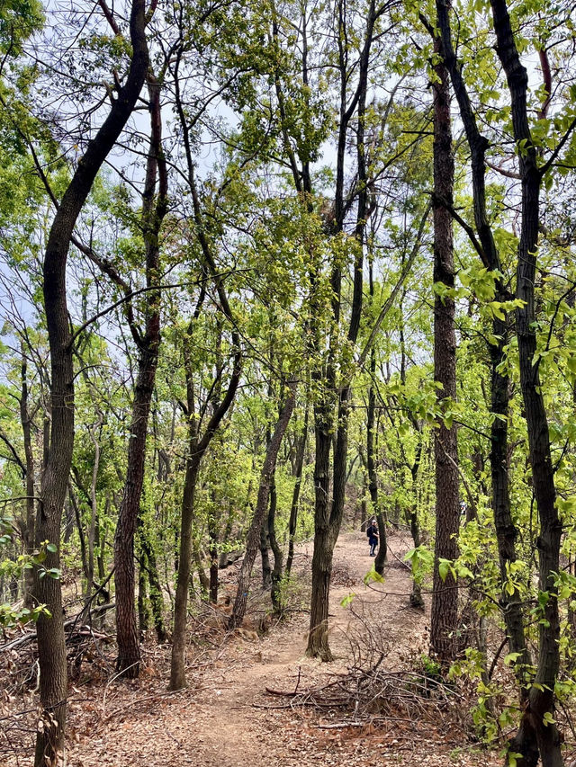 七山旅遊景區｜綠海深處的自然樂章
