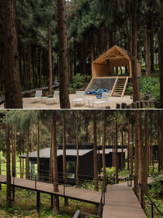 樂山秘境木屋，遭遇100%山野