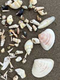 象山鶴浦大沙沙灘治癒指南