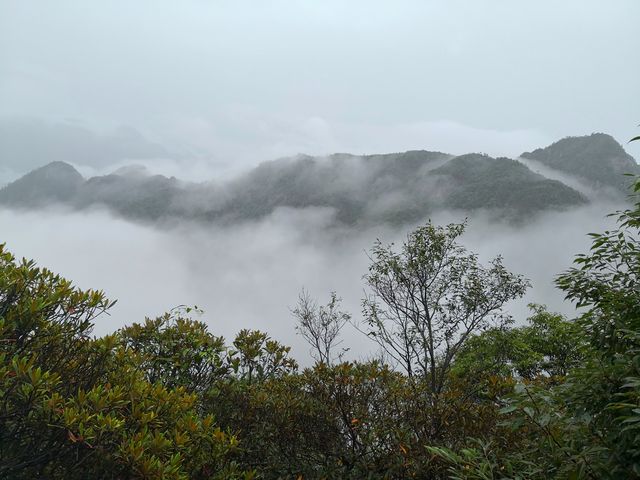 我看到的三清山