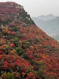 石門坊賞紅葉，邂逅秋日浪漫
