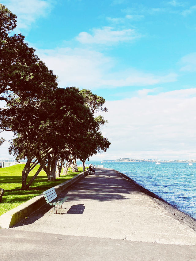 ⛵️ Devonport opposite Harbour: Auckland's Nautical Paradise in the timeless soul❤️! 🌊