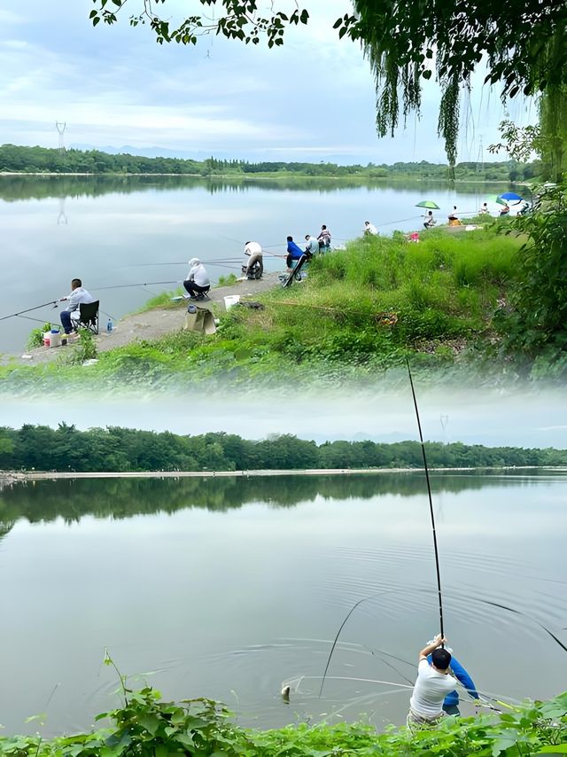 解鎖魯家灘濕地公園的隱藏玩法，邂逅自然與歡樂的完美融合