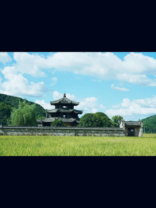 稻田裡的遺世之作:廣渡村大公殿 稻田裡的遺世之作:廣渡村大公殿