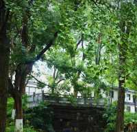雨中秋色漫長沙，邂逅烈士公園的治癒系浪漫