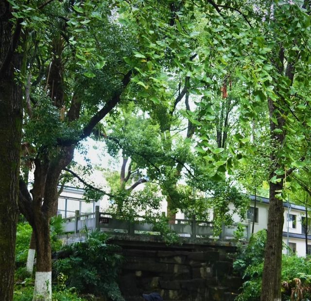 雨中秋色漫長沙，邂逅烈士公園的治癒系浪漫