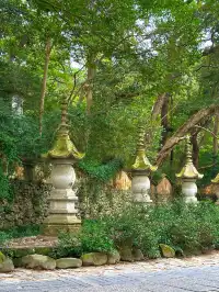 上海出發｜天台山大瀑布+國清寺一日遊攻略