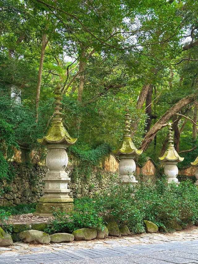 上海出發｜天台山大瀑布+國清寺一日遊攻略