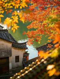 墜入秋天的童話天台山秋日漫遊指南