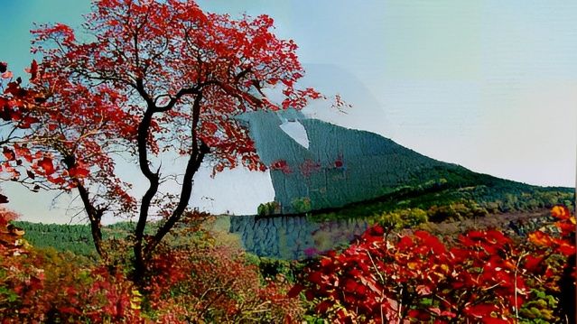熊耳山彩林文化季啟幕