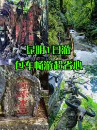 昆明1天|包車遊攻略 玩轉春城
