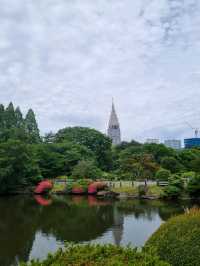 🌸☀️ Shinjuku Gyoen — โอเอซิสกลางโตเกียวในเดือนพฤษ