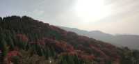 濟南小眾紅葉景觀