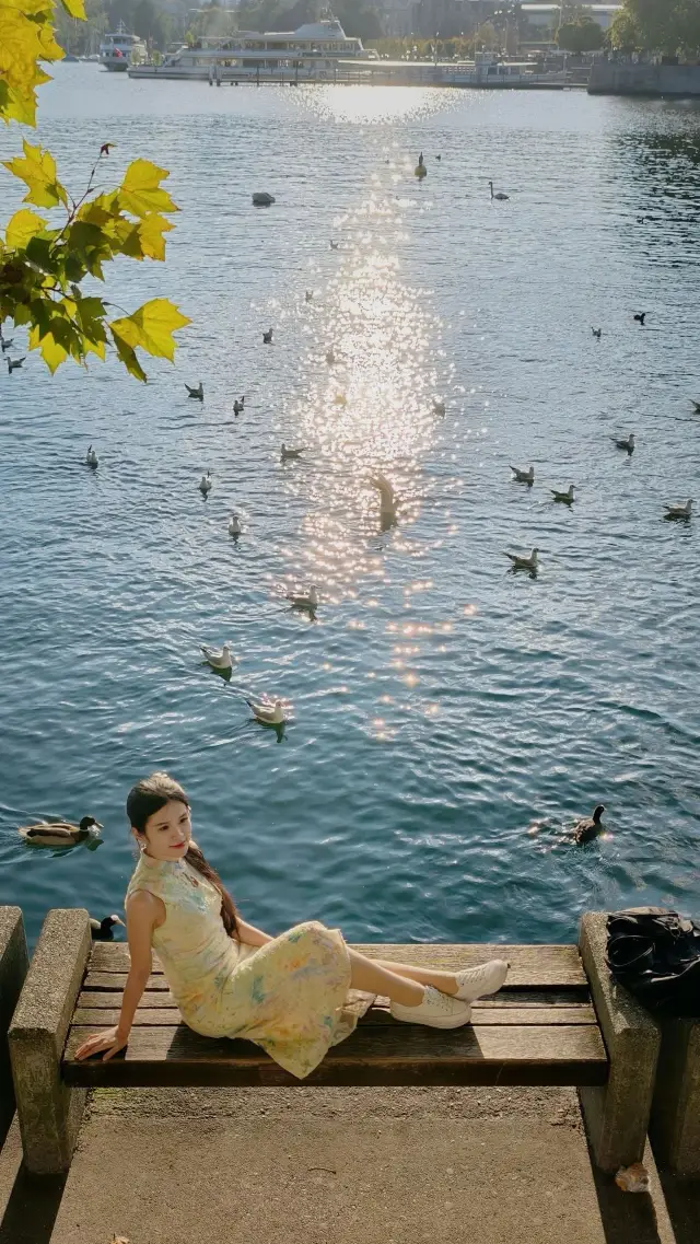 The Stunning Swan Lake in Zurich｜Step into an Autumn Fairy Tale of Poetry