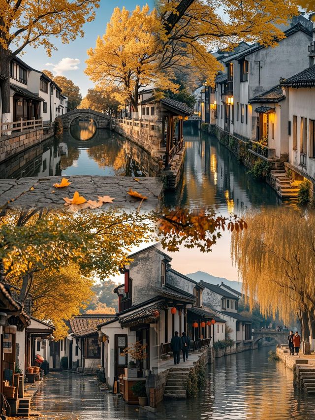 不在阿勒泰,就在蘇州,蘇州看落葉---- 不在阿勒泰,就在蘇州,蘇州看落葉----