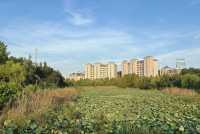 跑遍長沙公園⑥|尖山湖公園:高新區打工人的週末活力寶藏地