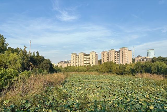 跑遍長沙公園⑥|尖山湖公園:高新區打工人的週末活力寶藏地 跑遍長沙公園⑥|尖山湖公園:高新區打工人的週末活力寶藏地