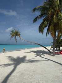 An Unforgettable Honeymoon Experience