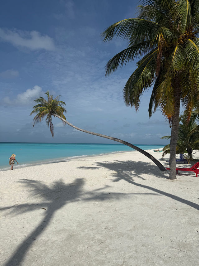 An Unforgettable Honeymoon Experience An Unforgettable Honeymoon Experience