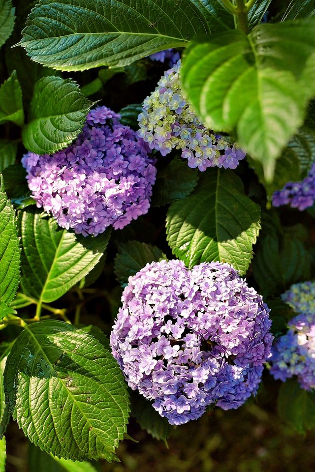 武漢旅遊住宿位置推薦