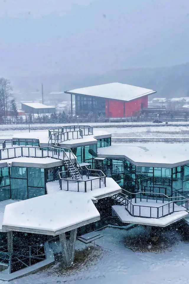 住進長白山鹿苑裡！睡醒就被小鹿包圍，冬季限定浪漫！